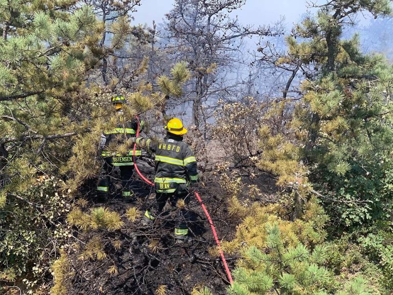 Two firefighters wearing protective gear and helmets spray water on a smoldering forest area, surrounded by trees and burnt ground, as they work to control a wildfire.